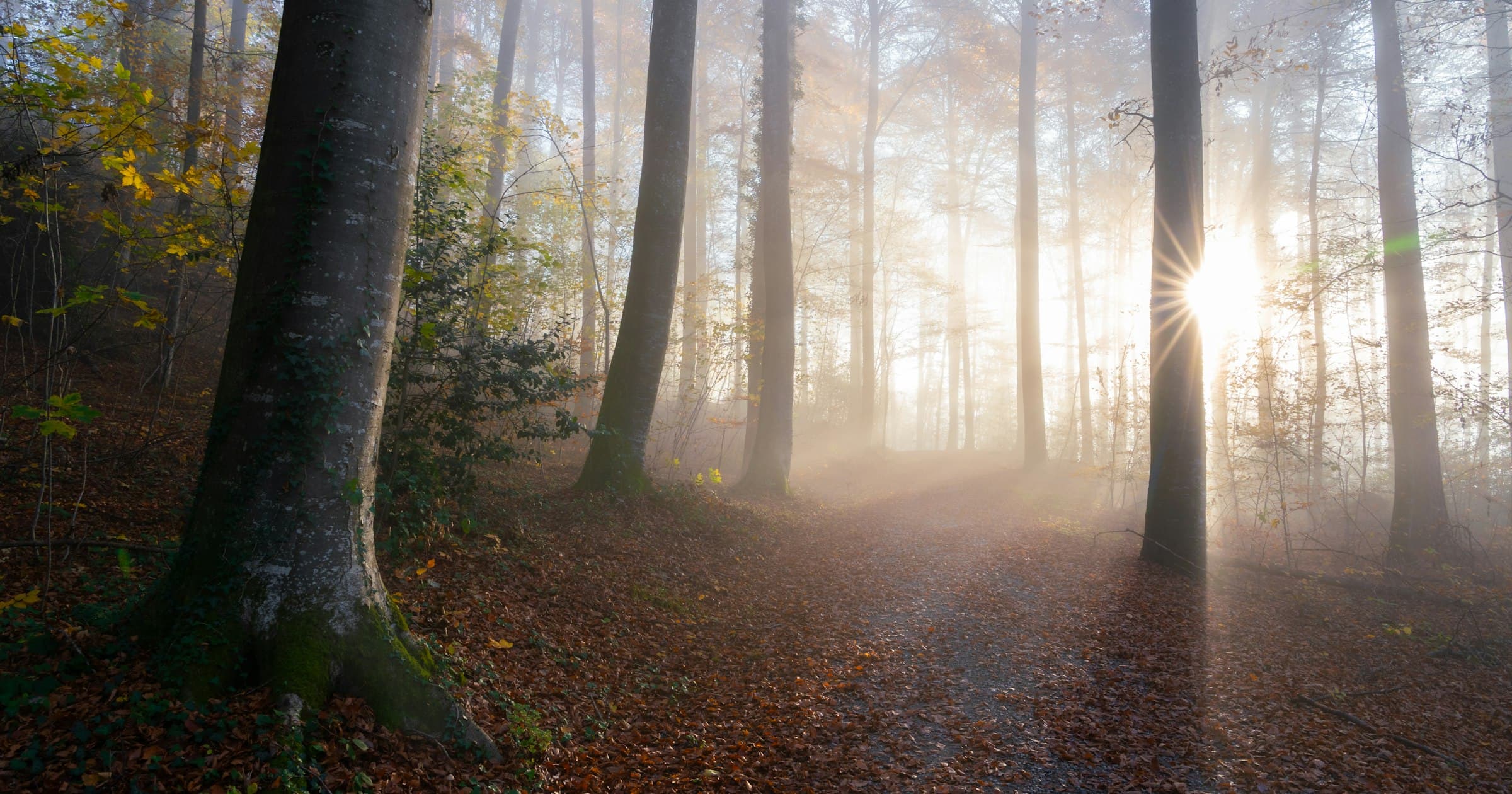 Brain fog after COVID: what's actually happening