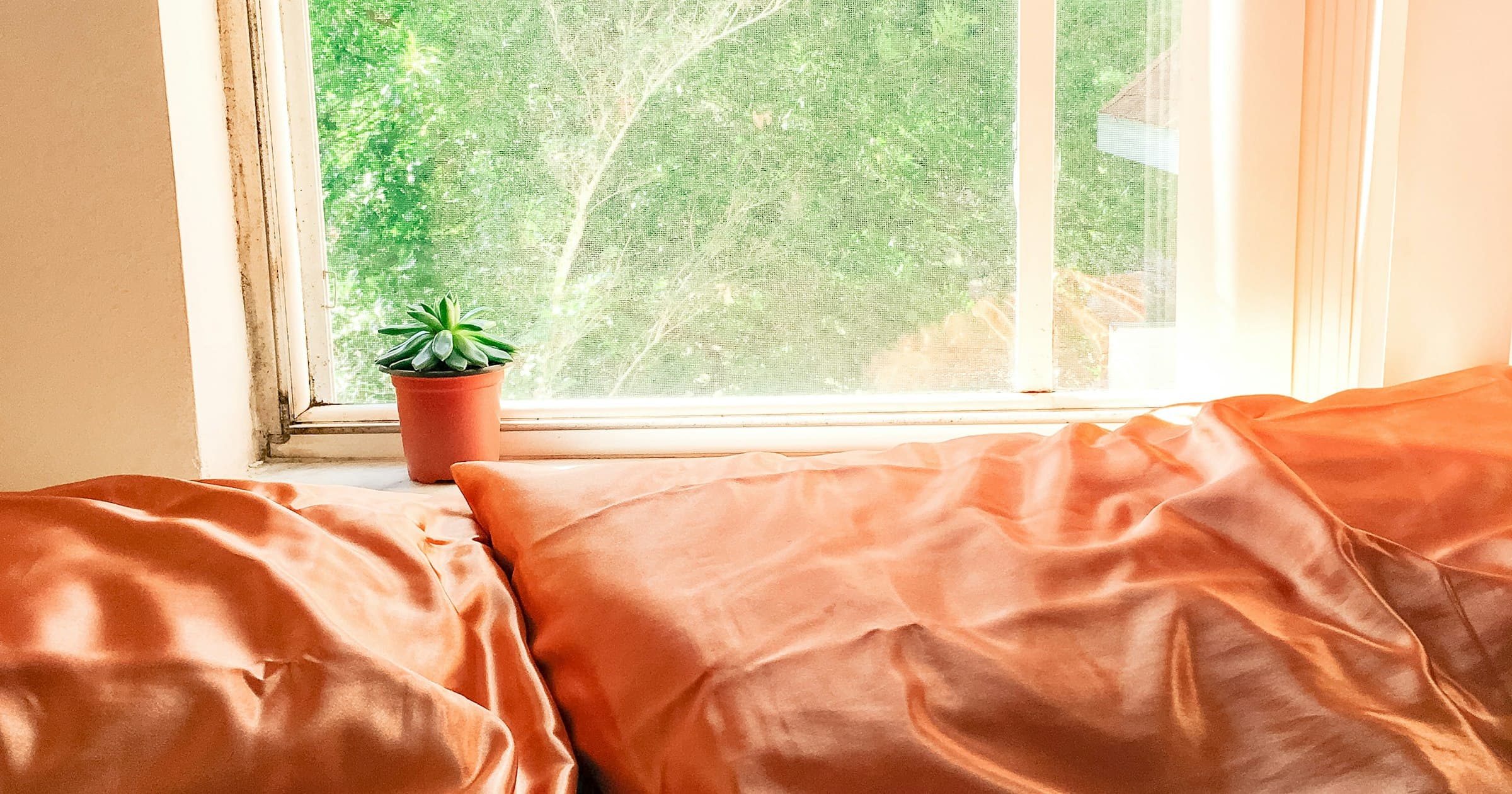 Sleep and cognitive clarity
